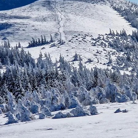 Апартаменты Coeur De Station Avec Parking Prive A Super - Fr-1-814-47 *